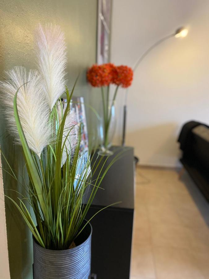 Appartements vue mer Saint-Florent  Eksteriør bilde